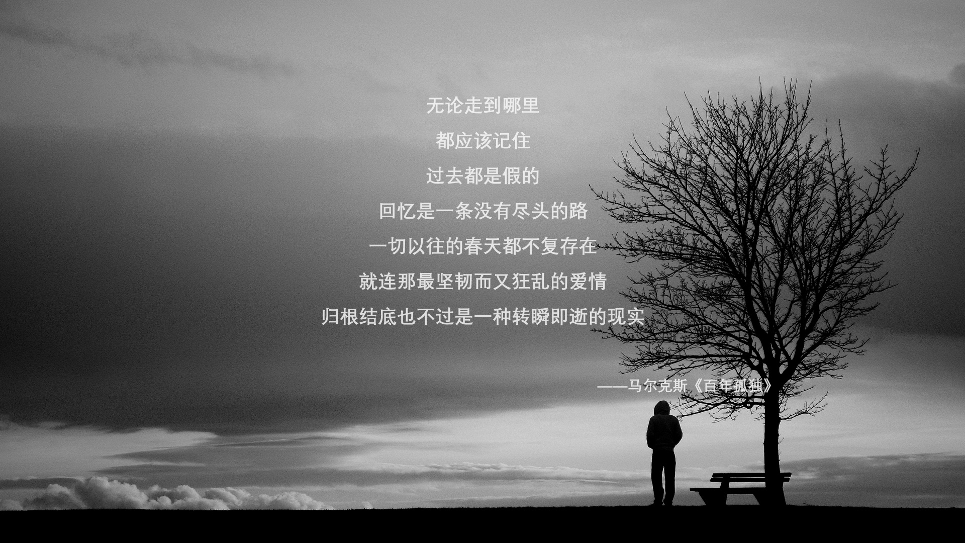特色极限飞盘赛，舞动天空的速度与技巧，飞盘舞蹈
