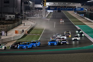 Jiu You-世界雪车锦标赛中国选手跻身前八，世界雪车锦标赛用车多少钱