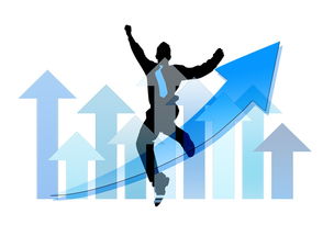 九游登录入口-中国篮球职业俱乐部财务风险管理实践，篮球俱乐部经营与管理