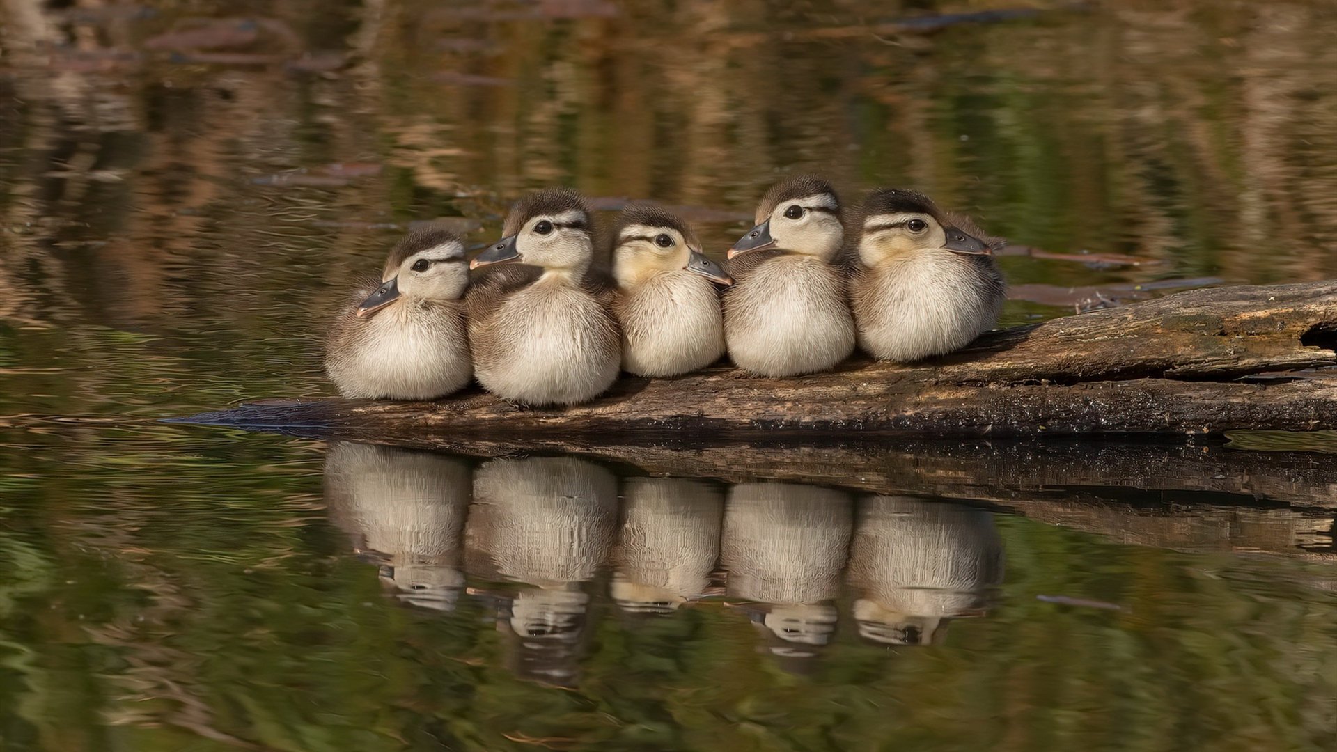 国足比赛上下半场表现差异统计，国足上半场数据