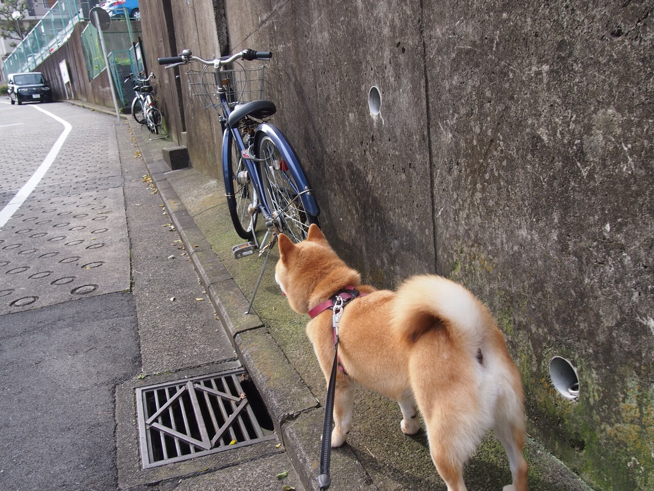 九游官网主页-CBA赛季精彩纷呈 球迷热情高涨，cba球队赛季