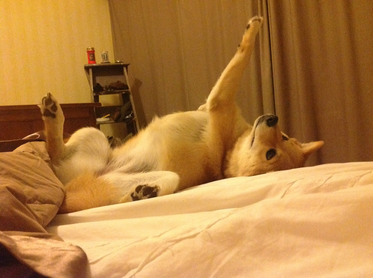 体育新闻中心启动体育新媒体内容原创计划，体育新闻版面