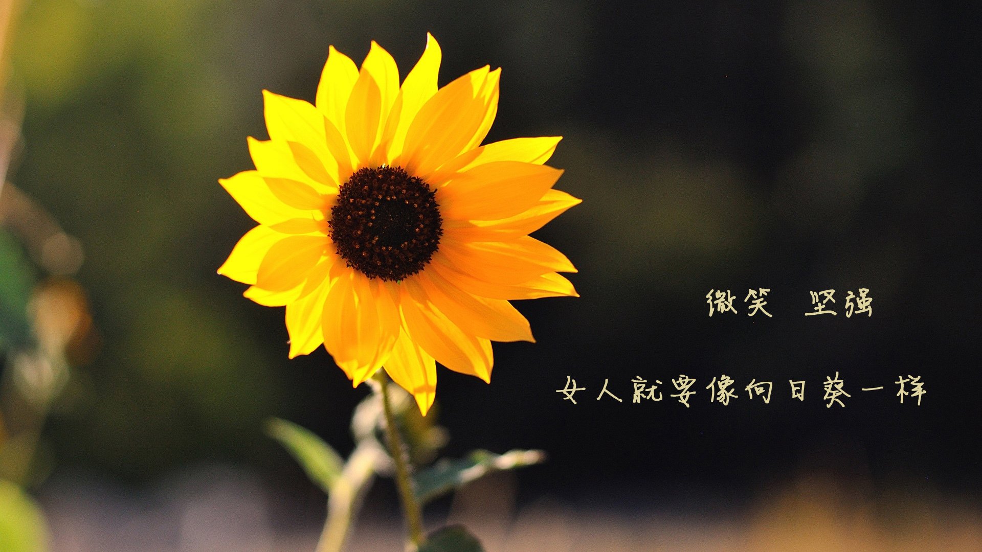 球星在不同节奏下的表现是否一致，各球星的区域