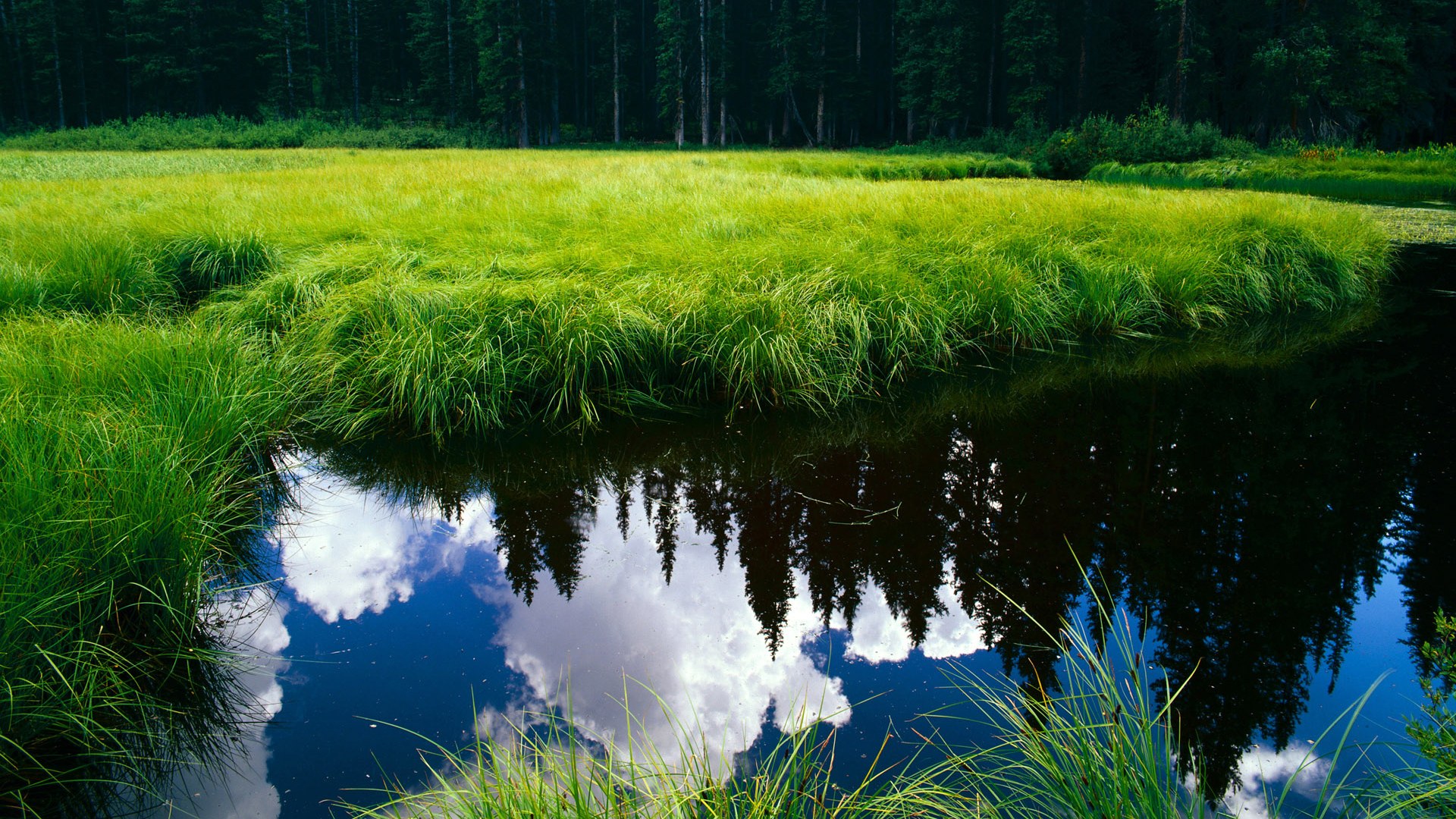 联盟中最擅长在弱侧得分的球员分析，nba弱侧手