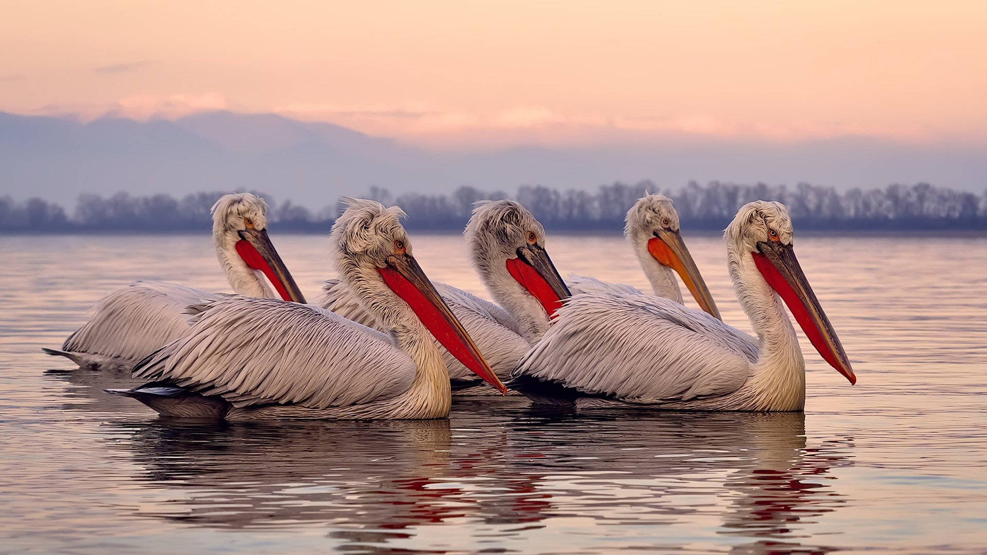 九游正版入口-马拉松赛事设置人脸识别签到通道提升效率，上海马拉松人脸识别