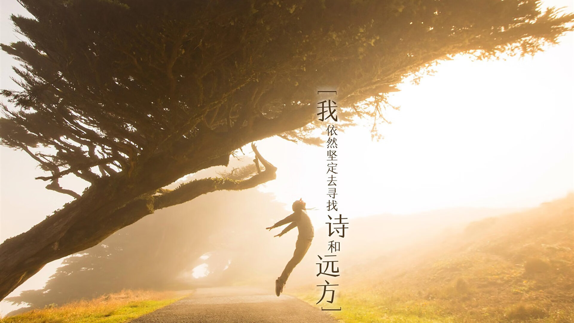 比利时男篮在欧洲预赛中奋勇冲锋，冲击奥运荣誉，比利时男篮什么水平