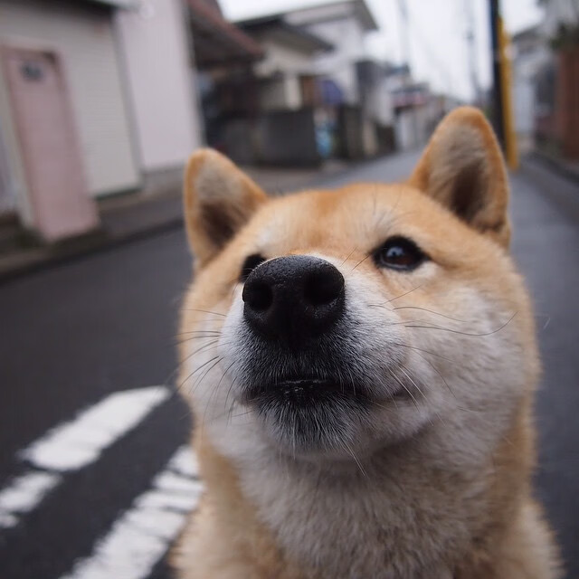 法国男队整体体能储备充足，法国男子国家队