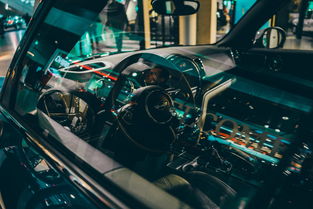 九游游戏中心-世界高速滑轮挑战赛中国少年展现实力，世界滑轮比赛视频